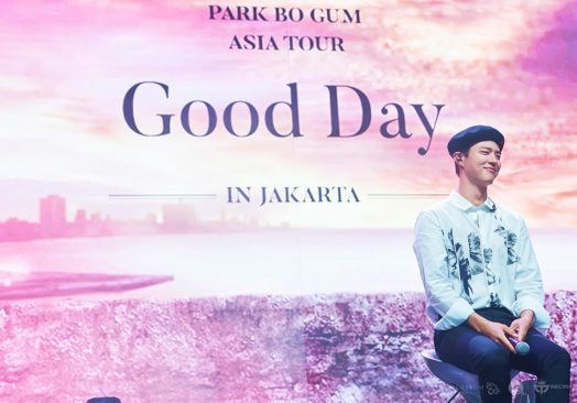 2019 Park Bo Gum Asia Tour In Jakarta 